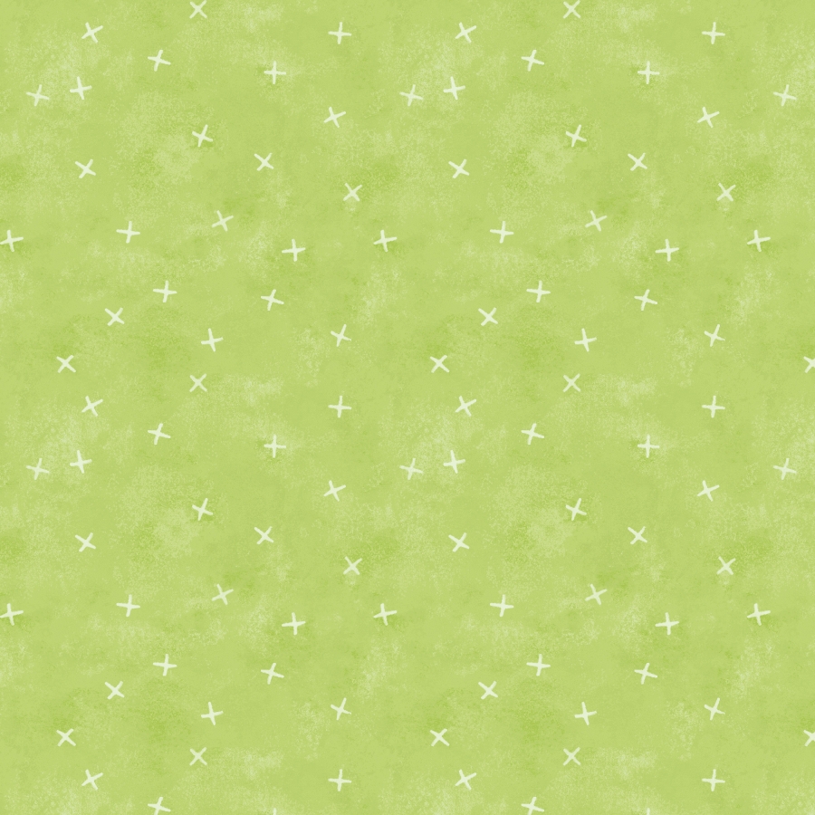 CSHO 6452 APPLE